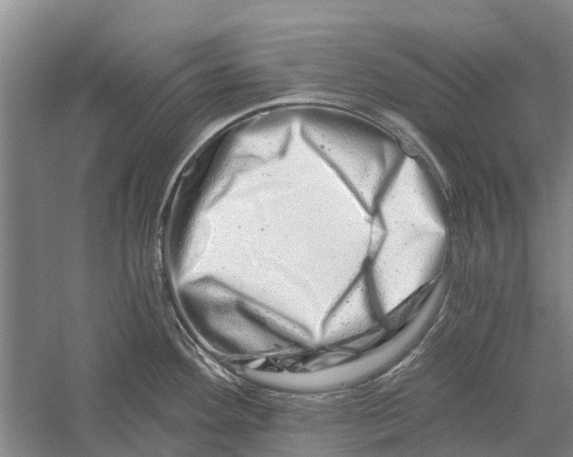 X0000056321292200509231937