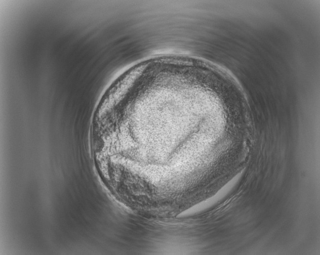 X0000056321295200509231937