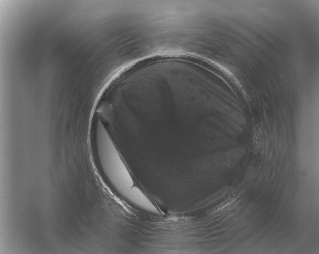 X0000056321327200509231936