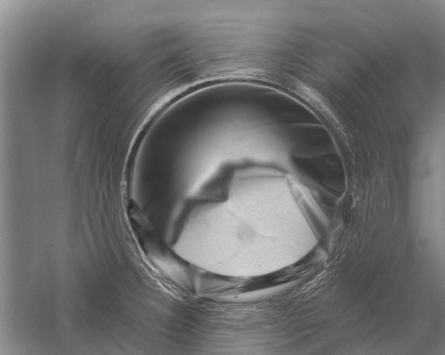 X0000056321332200509231936