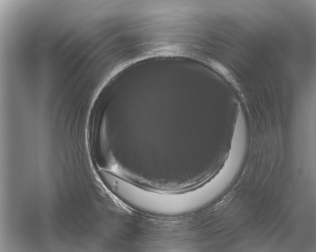 X0000056321334200509231936