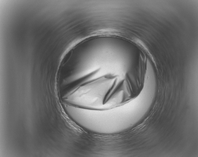 X0000056321336200509231936