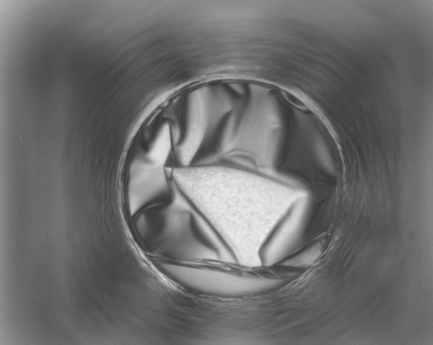 X0000056321341200509231937