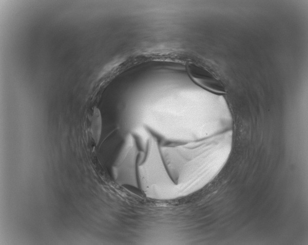 X0000056321350200509231936