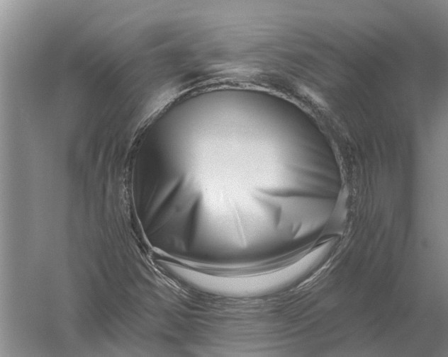 X0000056321354200509231936