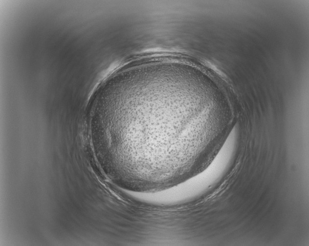 X0000056321357200509231936