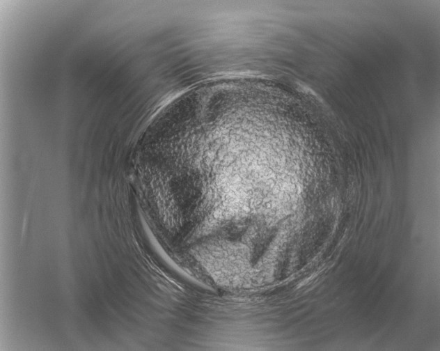 X0000056321361200509231936