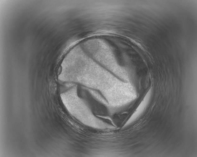 X0000056321363200509231935
