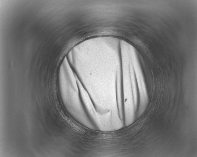 X0000056321374200509231935