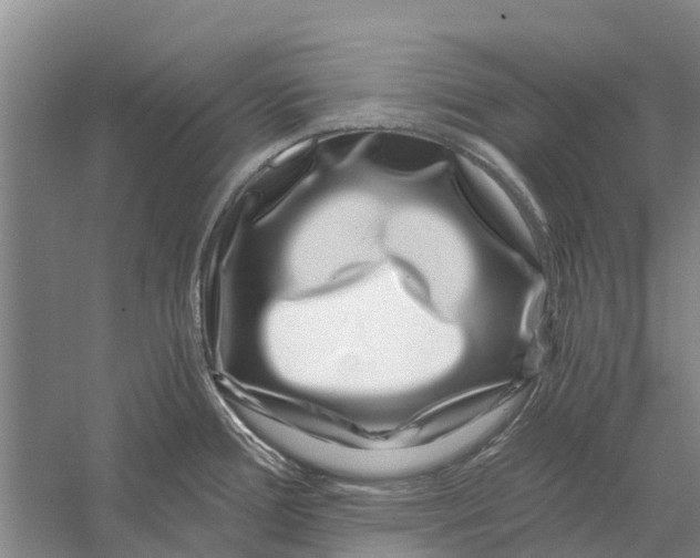 X0000056321388200509231935