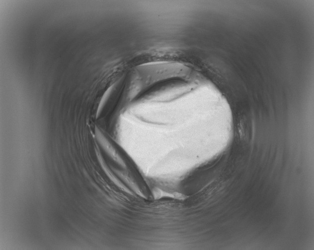 X0000056321396200509231934