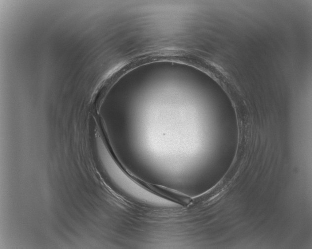 X0000056321402200509231934