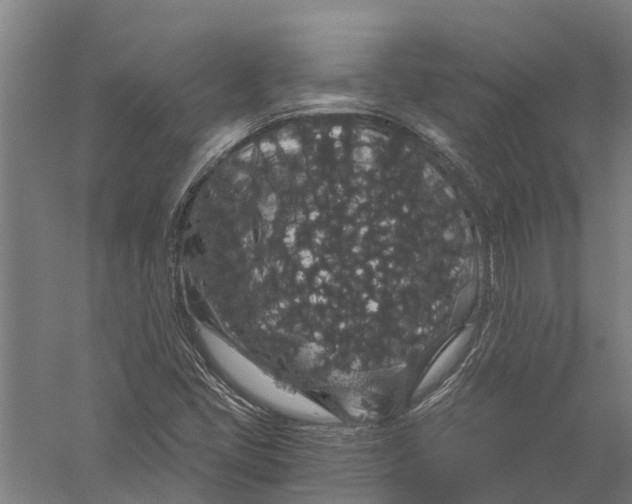 X0000056321405200509231934
