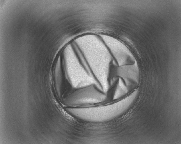 X0000056321420200509231935