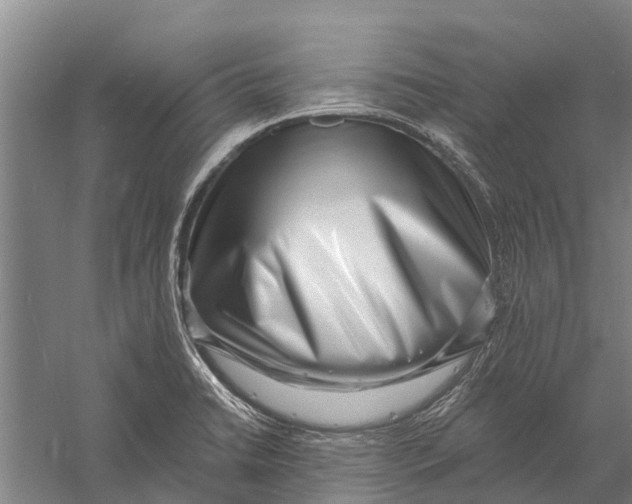 X0000056321422200509231935