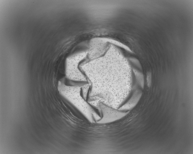 X0000056321444200509231934