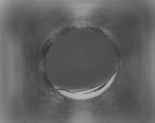 X0000056321445200509231934