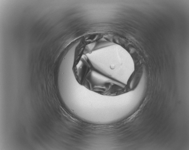 X0000056321449200509231934