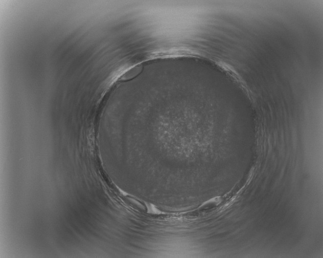 X0000056321457200509231934