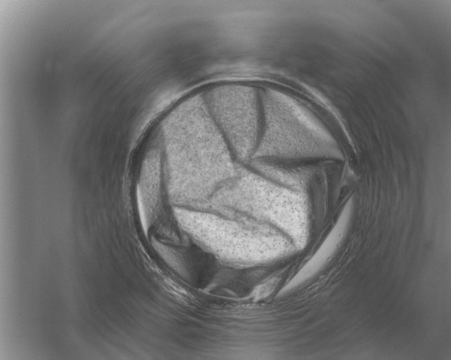 X0000056321464200509231934