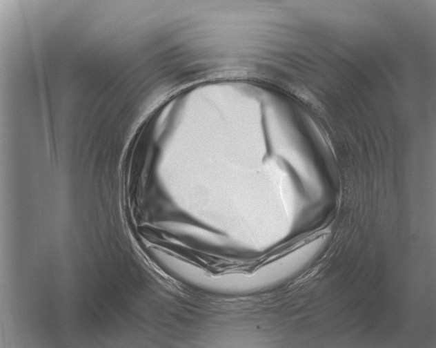X0000056321467200509231934
