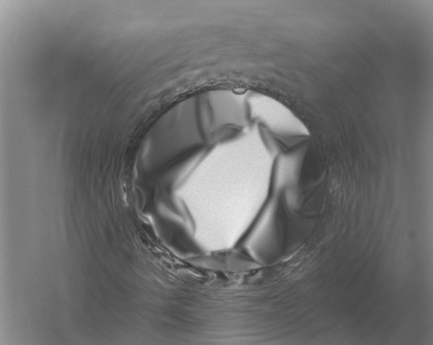 X0000056321490200509231933