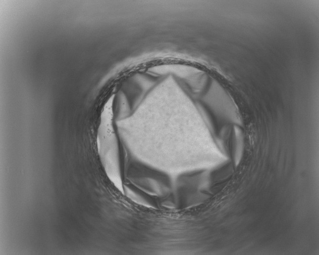 X0000056321495200509231933