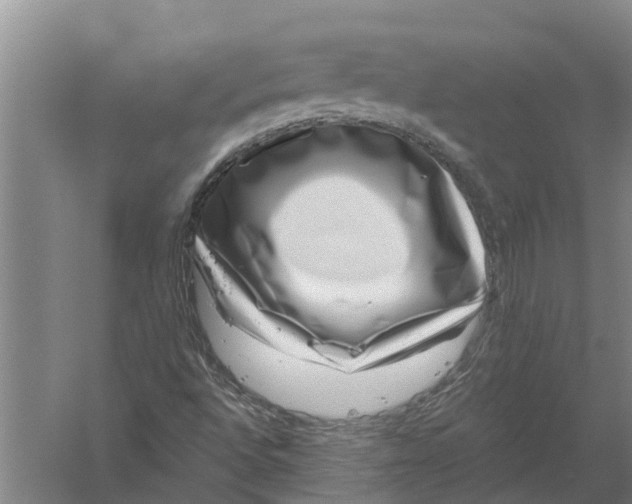 X0000056321496200509231933