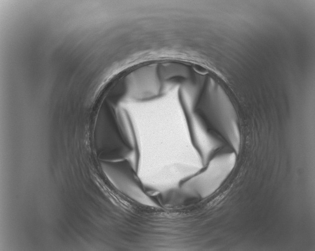 X0000056321499200509231933