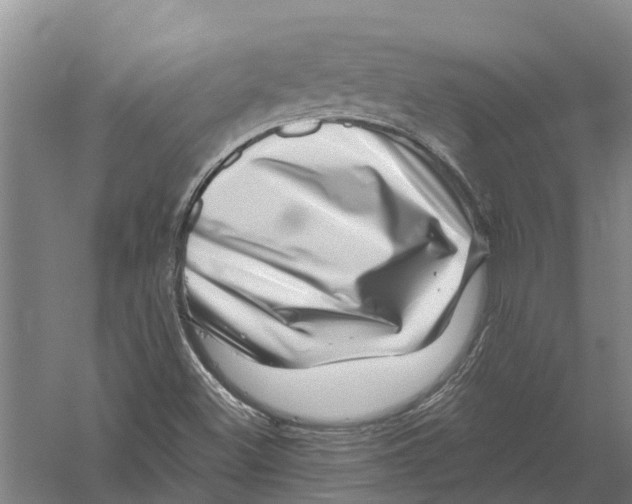X0000056321500200509231933