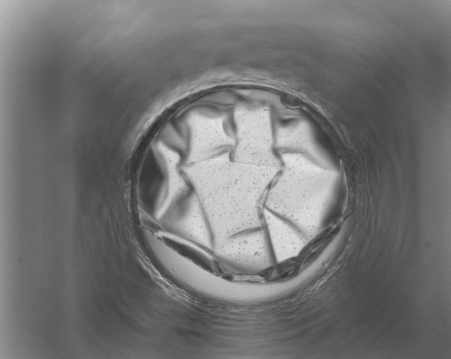X0000056321503200509231933