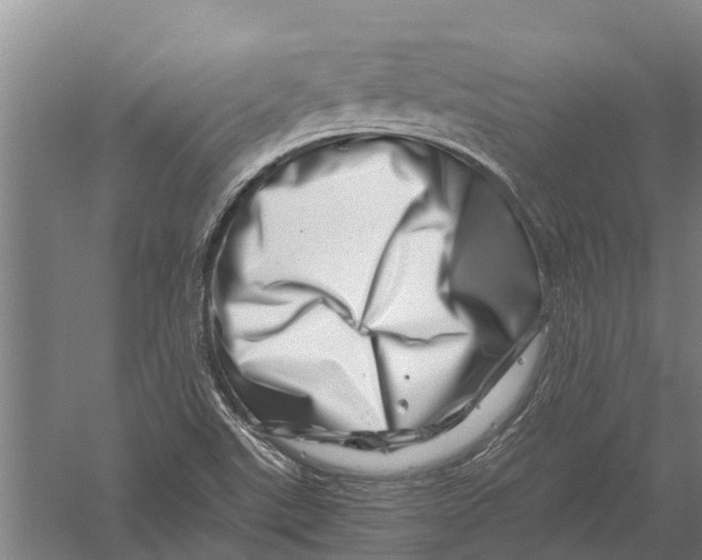 X0000056321507200509231933