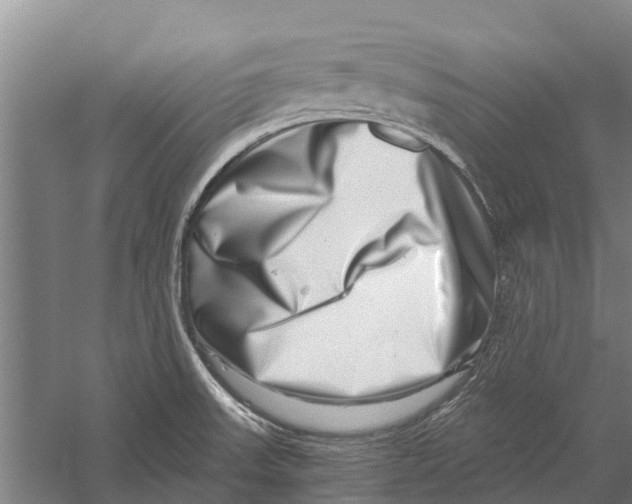 X0000056321523200509231933