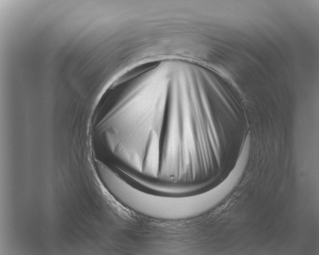 X0000056321524200509231933