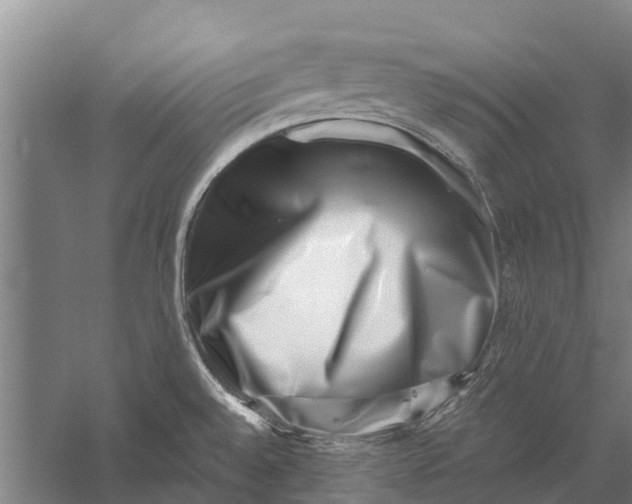 X0000056321528200509231933