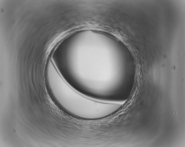 X0000056330007200508260837