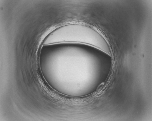 X0000056330008200508260837