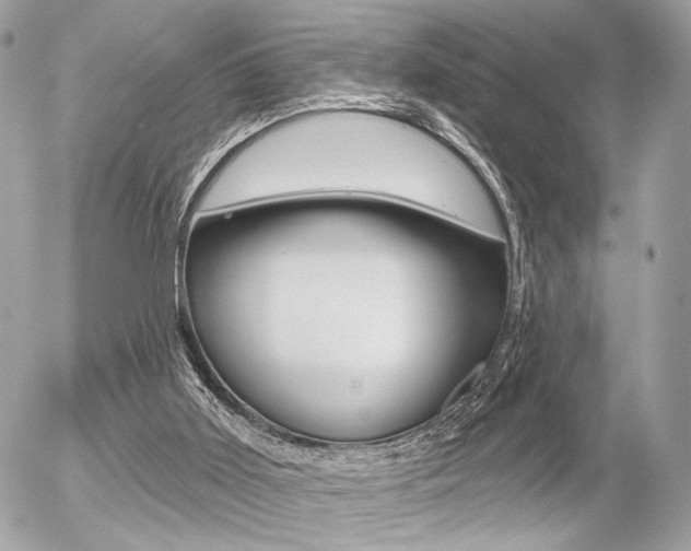 X0000056330011200508260837