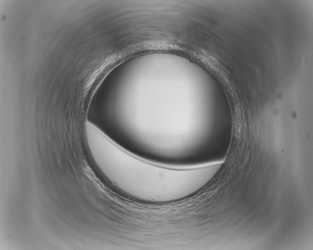 X0000056330015200508260837