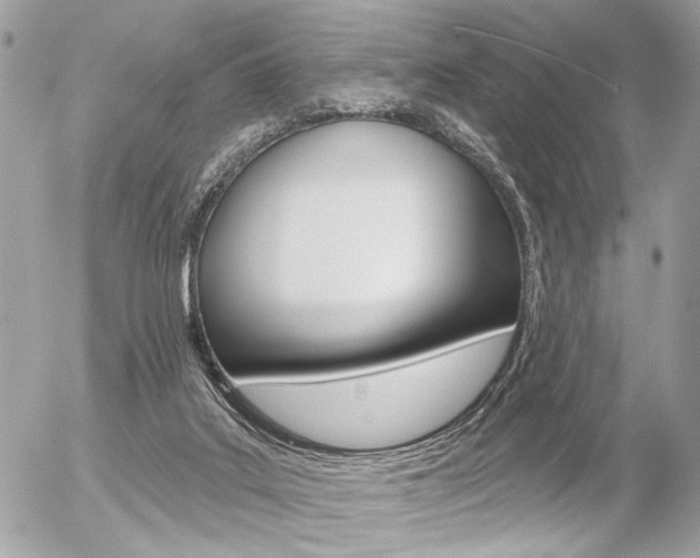 X0000056330019200508260837