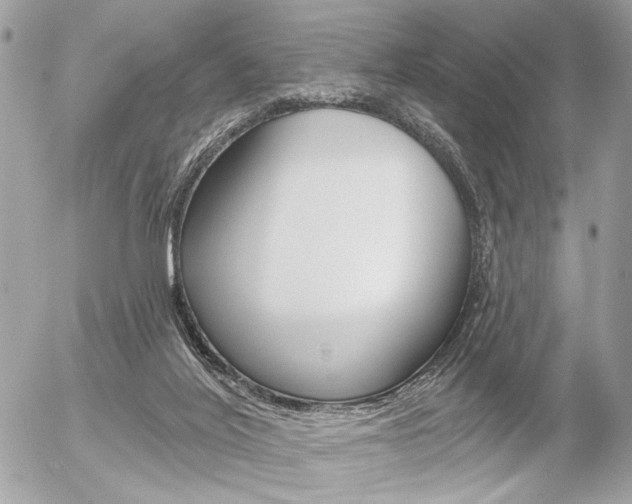 X0000056330020200508260837