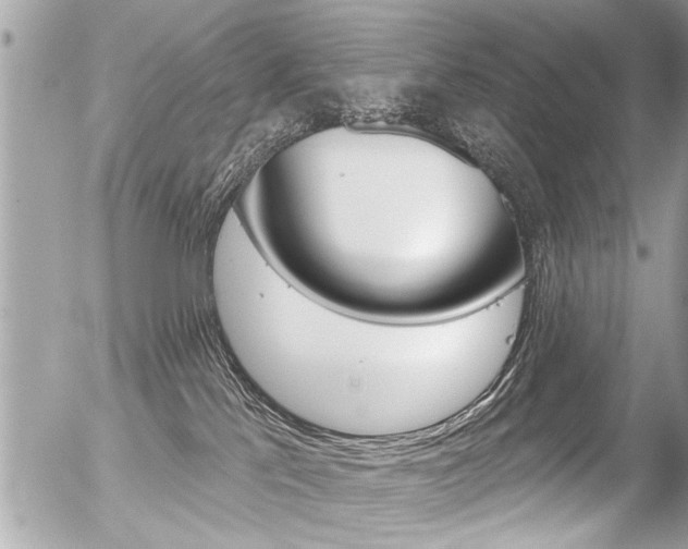 X0000056330041200508260837