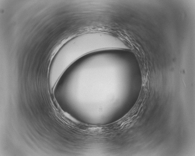 X0000056330052200508260836