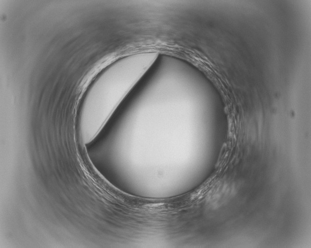 X0000056330054200508260836