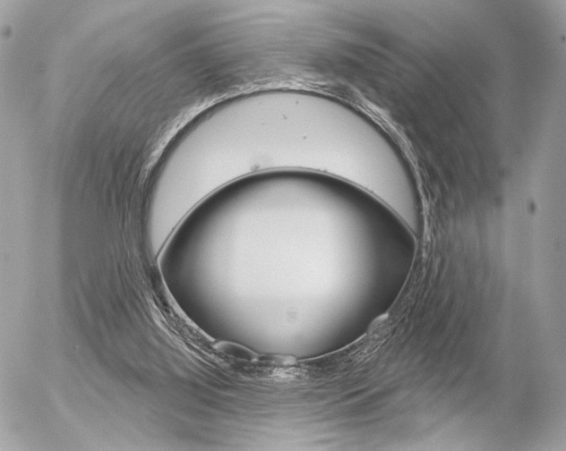 X0000056330060200508260836