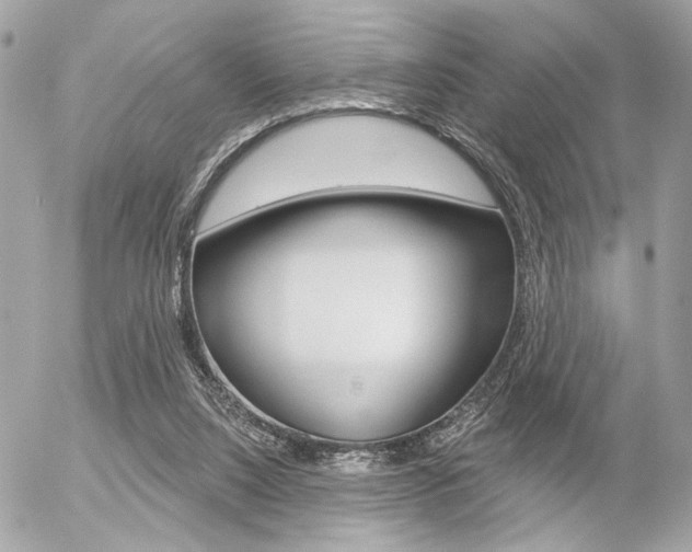 X0000056330064200508260836