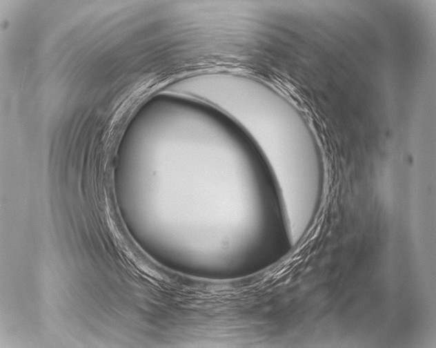 X0000056330097200508260836