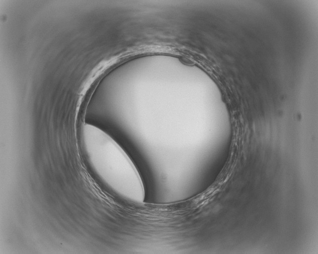 X0000056330104200508260836