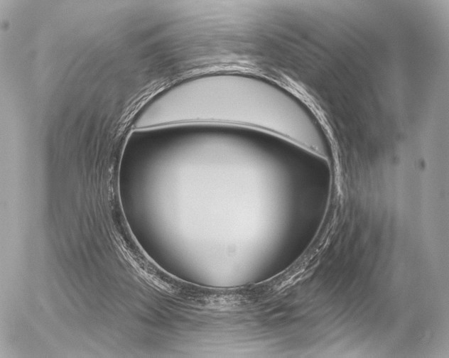 X0000056330105200508260836