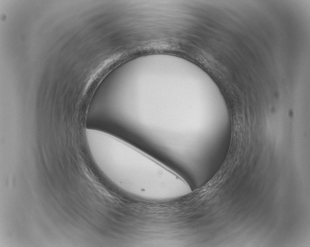 X0000056330112200508260836
